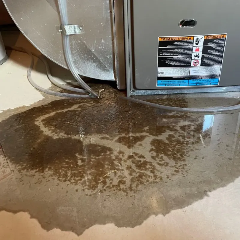Pipe Burst and Leak Restoration in Saint Michaels, AZ