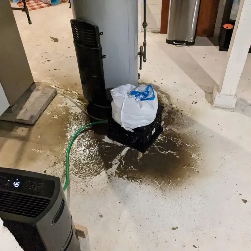 Sewage Backup Cleanup Service in Saint Michaels, AZ